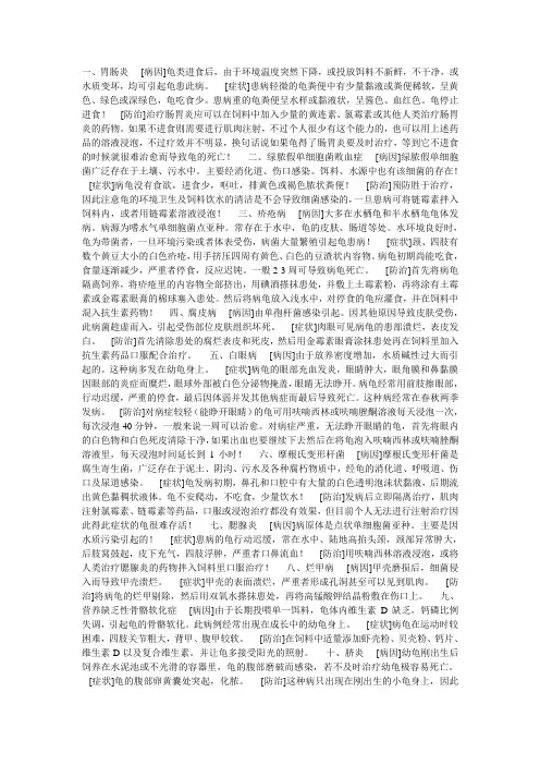 乌龟常见病与治疗