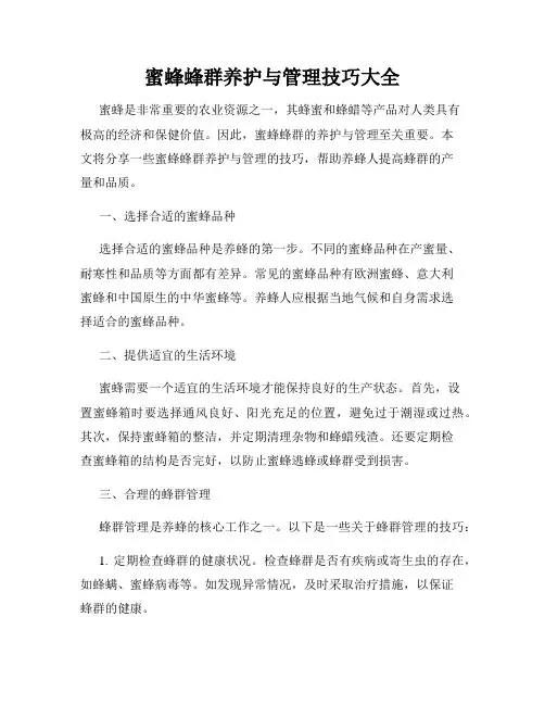 蜜蜂蜂群养护与管理技巧大全