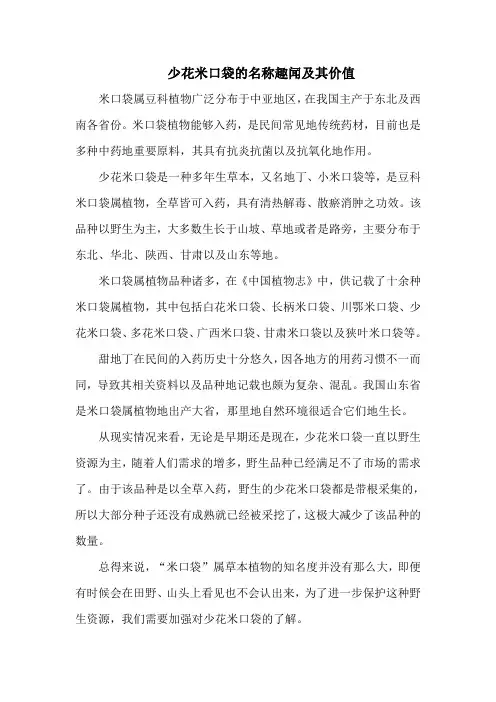 少花米口袋的名称趣闻及其价值