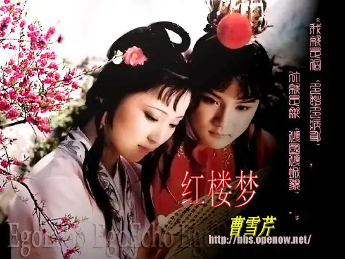 《宝玉挨打》优秀课件.ppt课件