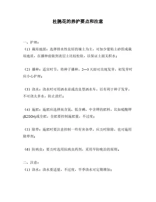 杜鹃花的养护要点和注意