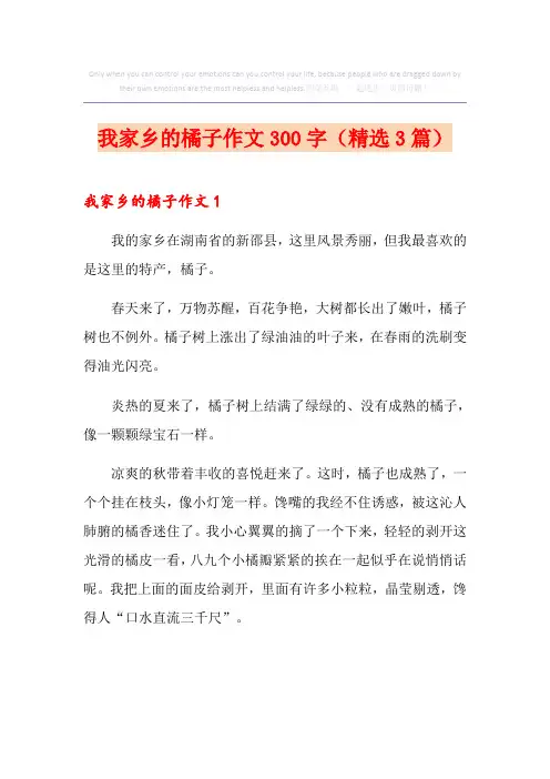 我家乡的橘子作文300字(精选3篇)