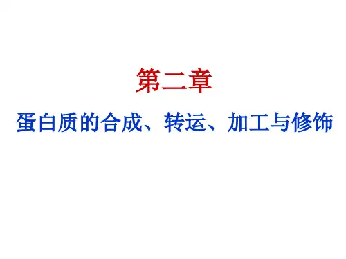 第二章 蛋白质的合成、转运、加工与修饰