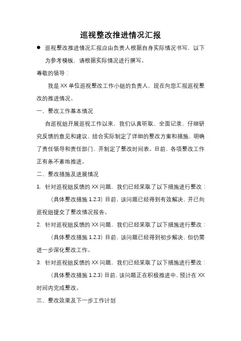 巡视整改推进情况汇报