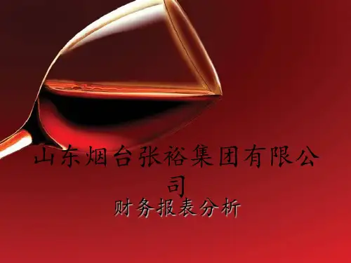 山东烟台张裕有限公司财务报表分析