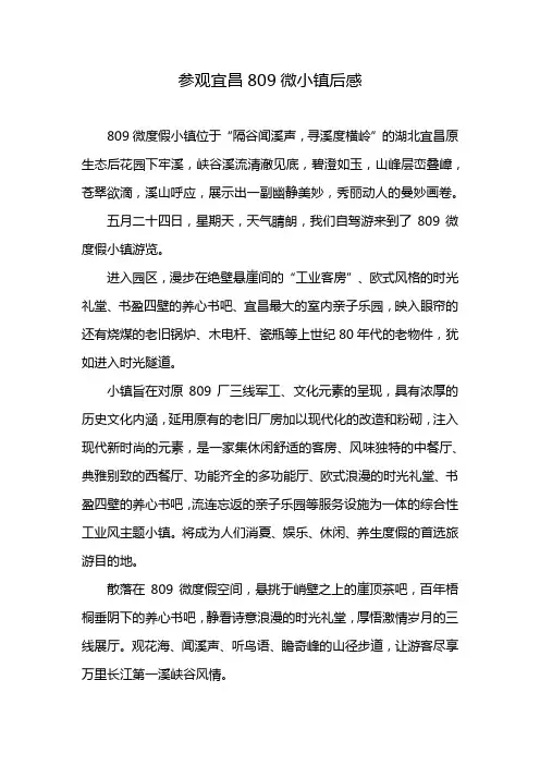 参观宜昌809微小镇后感