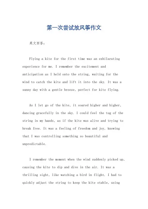 第一次尝试放风筝作文
