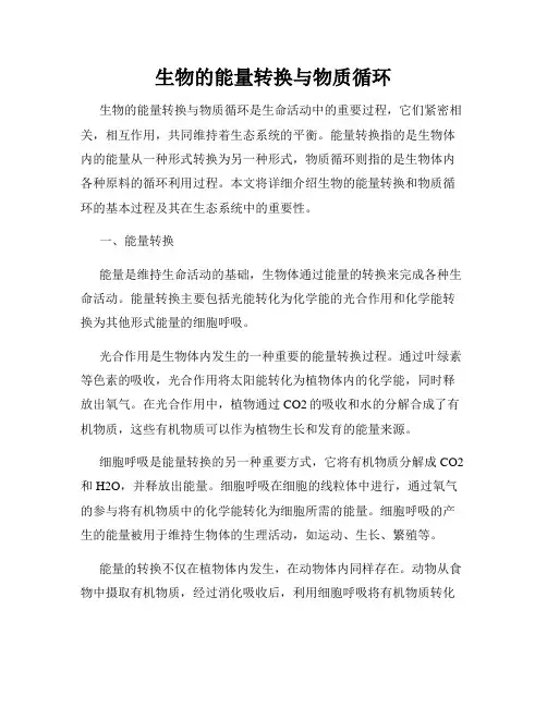生物的能量转换与物质循环