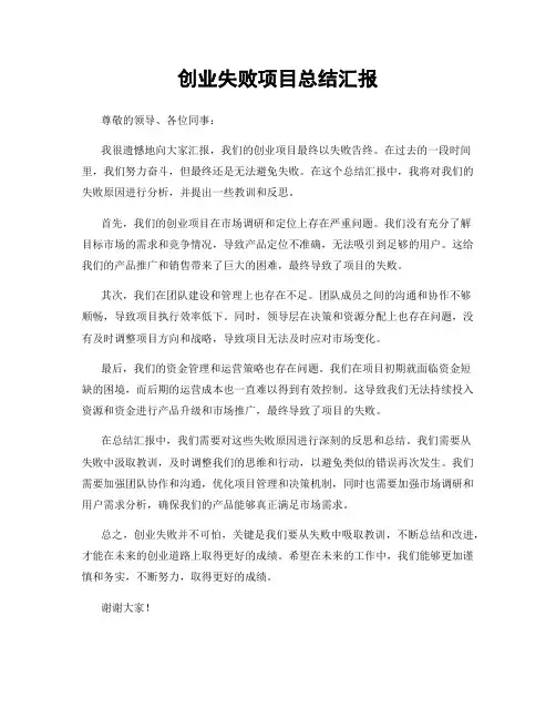 创业失败项目总结汇报