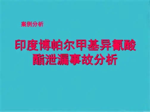 案例分析印度博帕尔化学品泄漏事故(共25张PPT)