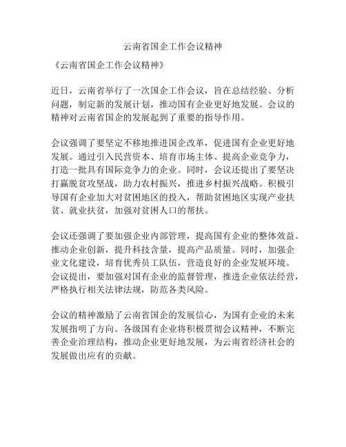 云南省国企工作会议精神