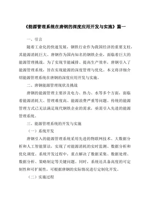 《2024年度能源管理系统在唐钢的深度应用开发与实施》范文