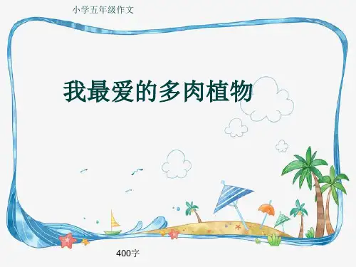 小学五年级作文《我最爱的多肉植物》400字(共8页PPT)
