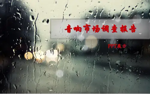 音响市场调查报告