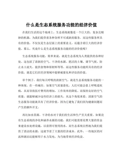 什么是生态系统服务功能的经济价值
