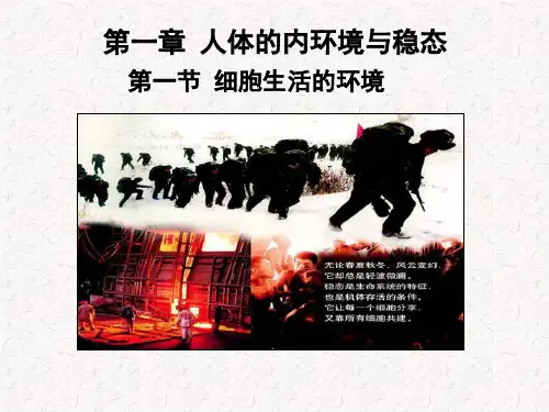 细胞生活的环境5ppt课件