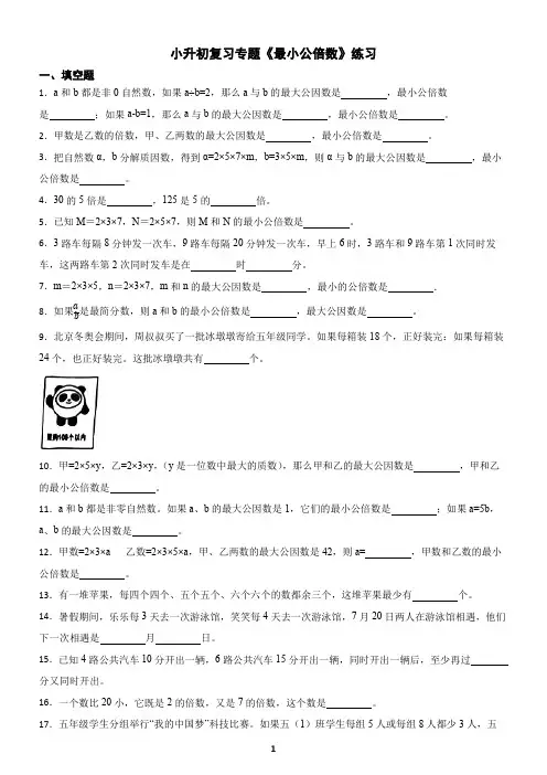 小升初复习专题《最小公倍数》练习及答案