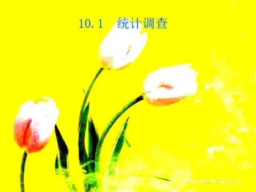 人教版七年级数学下册第十章《101 统计调查1》公开课课件
