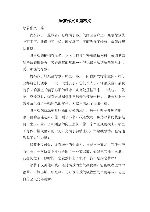 绿萝作文5篇范文