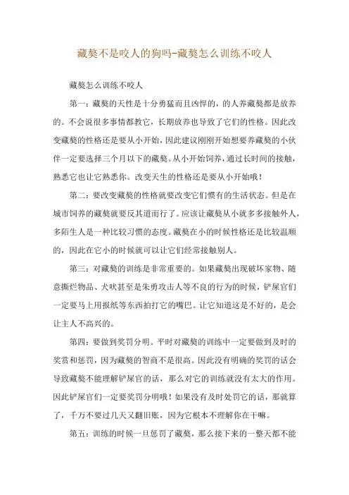 藏獒不是咬人的狗吗-藏獒怎么训练不咬人