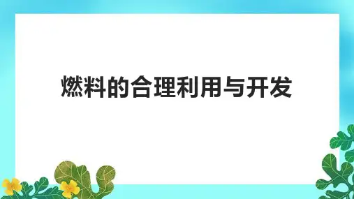 燃料的合理利用与开发