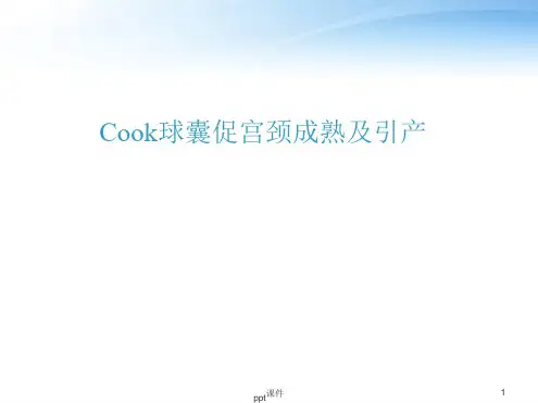 Cook球囊促宫颈成熟及引产ppt课件