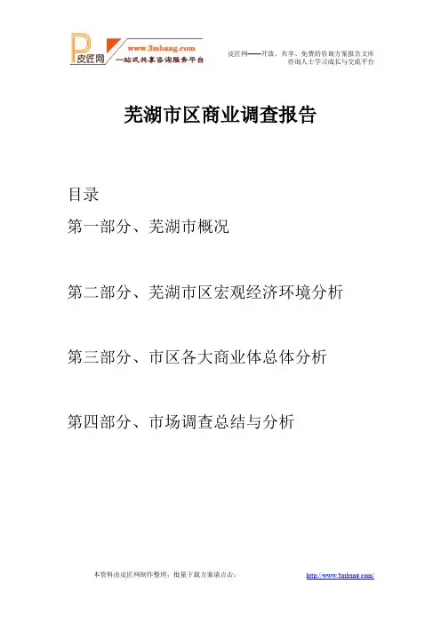芜湖市区商业调查报告