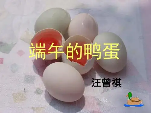 端午的鸭蛋PPT97 人教版 (共27张PPT)