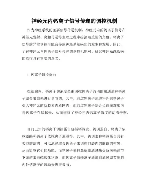 神经元内钙离子信号传递的调控机制