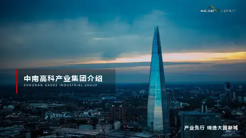 中南高科产业集团介绍