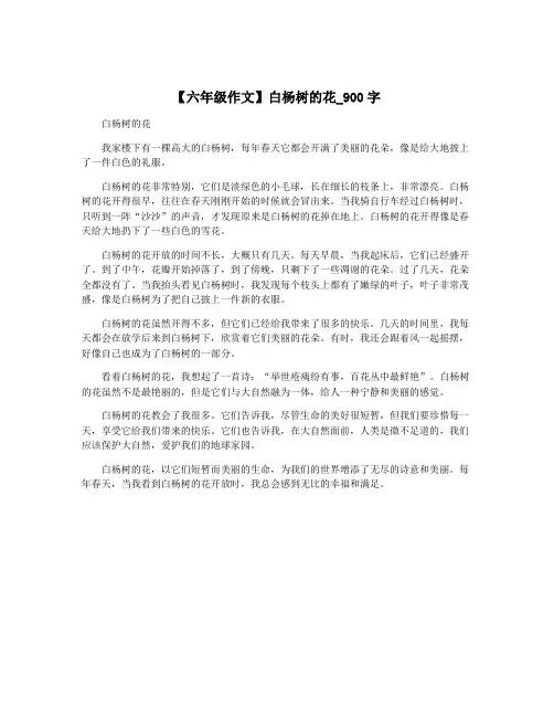 【六年级作文】白杨树的花_900字