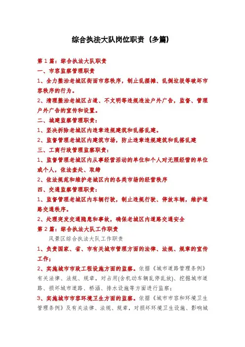 综合执法大队岗位职责(多篇)