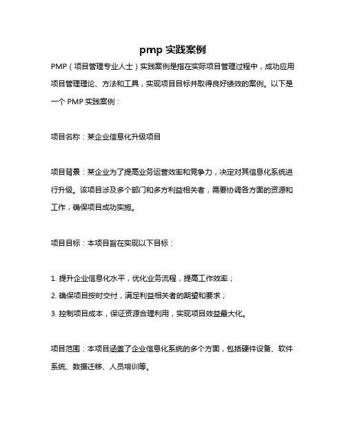 pmp实践案例