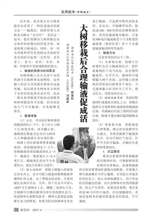 大树移栽后合理输液促成活