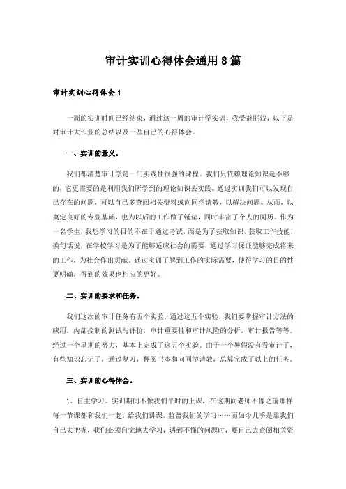 审计实训心得体会通用8篇
