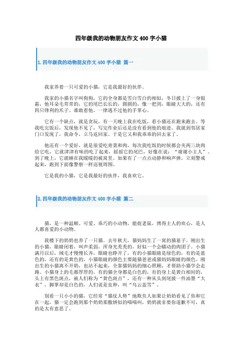四年级我的动物朋友作文400字小猫