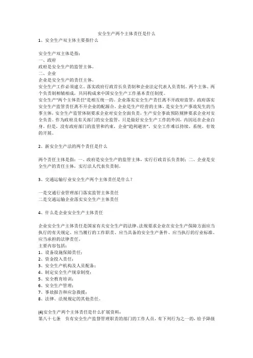 安全生产两个主体责任是什么安全生产