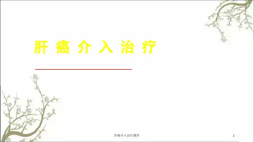 肝癌介入治疗课件