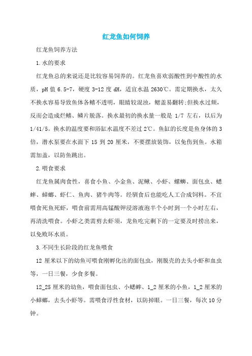 红龙鱼如何饲养