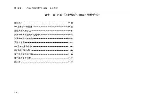 压缩天然气CNG