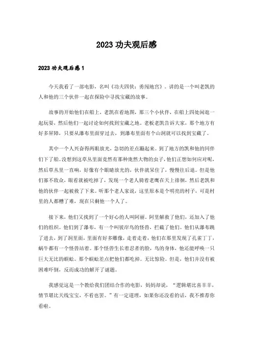 2023功夫观后感