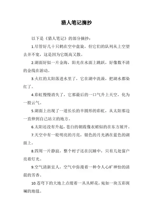 猎人笔记摘抄