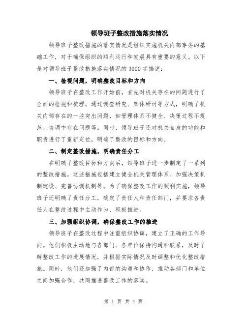 领导班子整改措施落实情况
