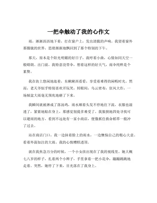 一把伞触动了我的心作文