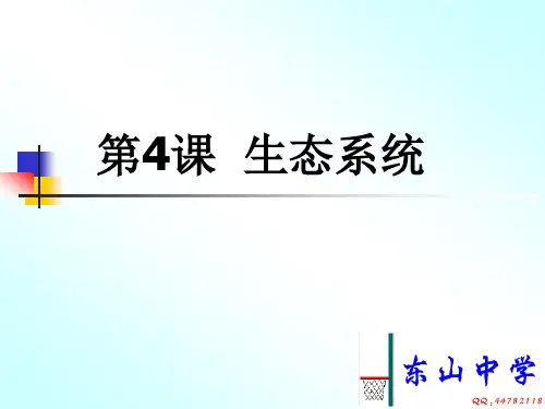 科学初三总复习_第4课-生态系统-浙教版