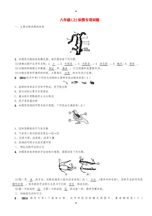 中考命题研究怀化专版2017年中考生物教材知识梳理第六单元生物的多样性及其保护八年级(上)识图专项训