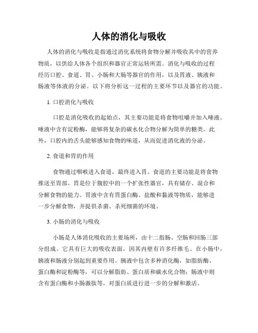 人体的消化与吸收