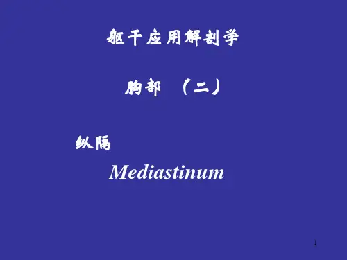 纵隔PPT课件