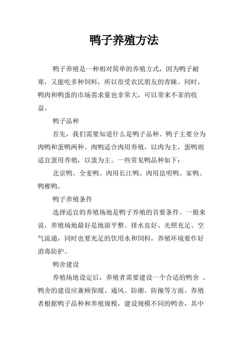 鸭子养殖方法