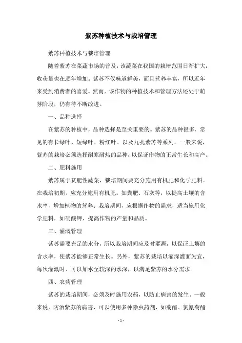 紫苏种植技术与栽培管理
